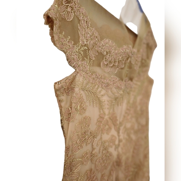 Tadashi Shoji Embroidered gown Women's Size 12 Pink/Gold - Picture 5 of 12